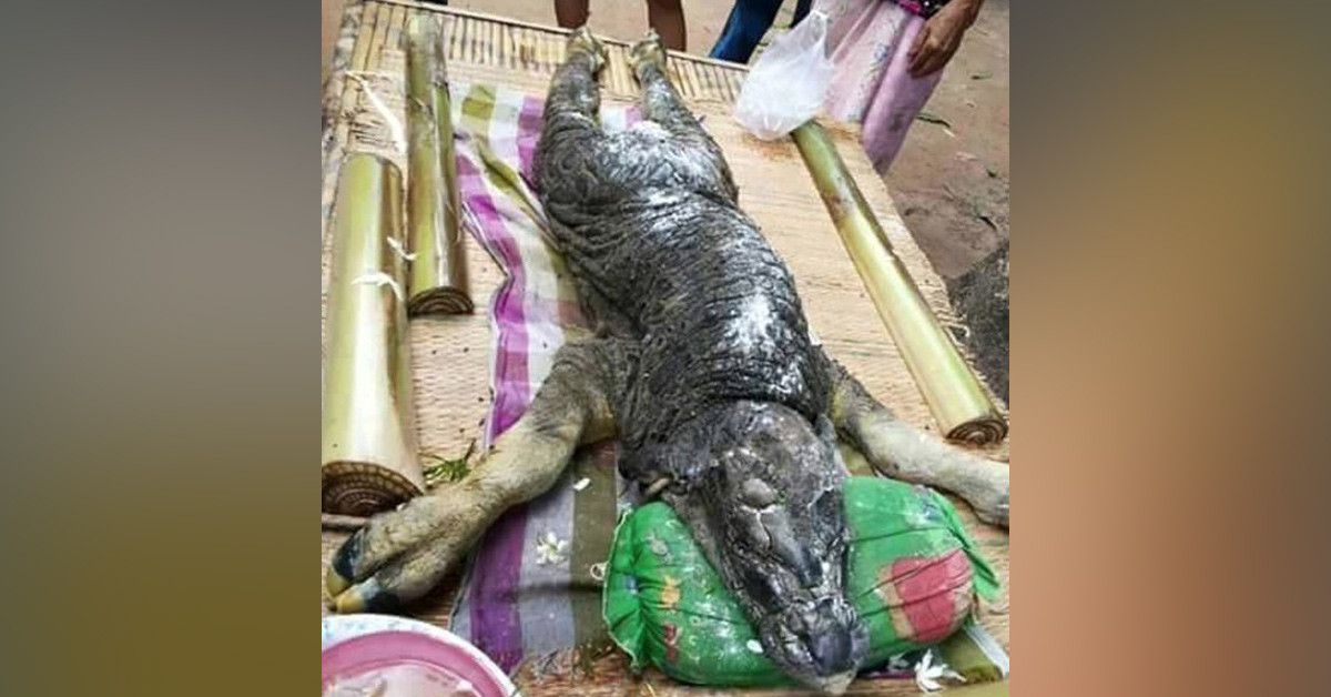 Atıkların geri kazanılması