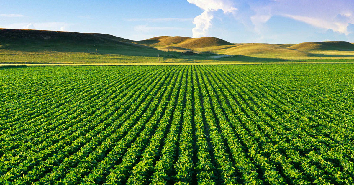 YAŞ ÇAYDA FARK ÖDEMESİ DESTEĞİ