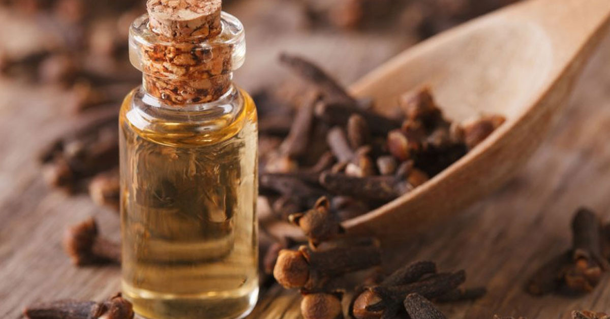 KARANFİL VEYA KARANFİLYAĞI