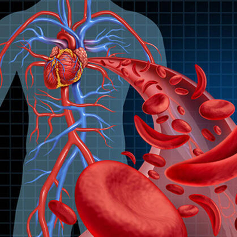 GÜNLÜK DEMİR İHTİYACI NE KADARDIR?