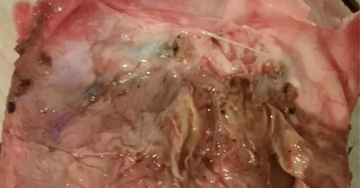 Firmanın açıklaması