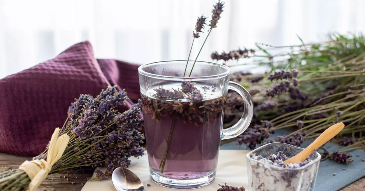 Karabaş otu glokoma karşı savaşıyor 