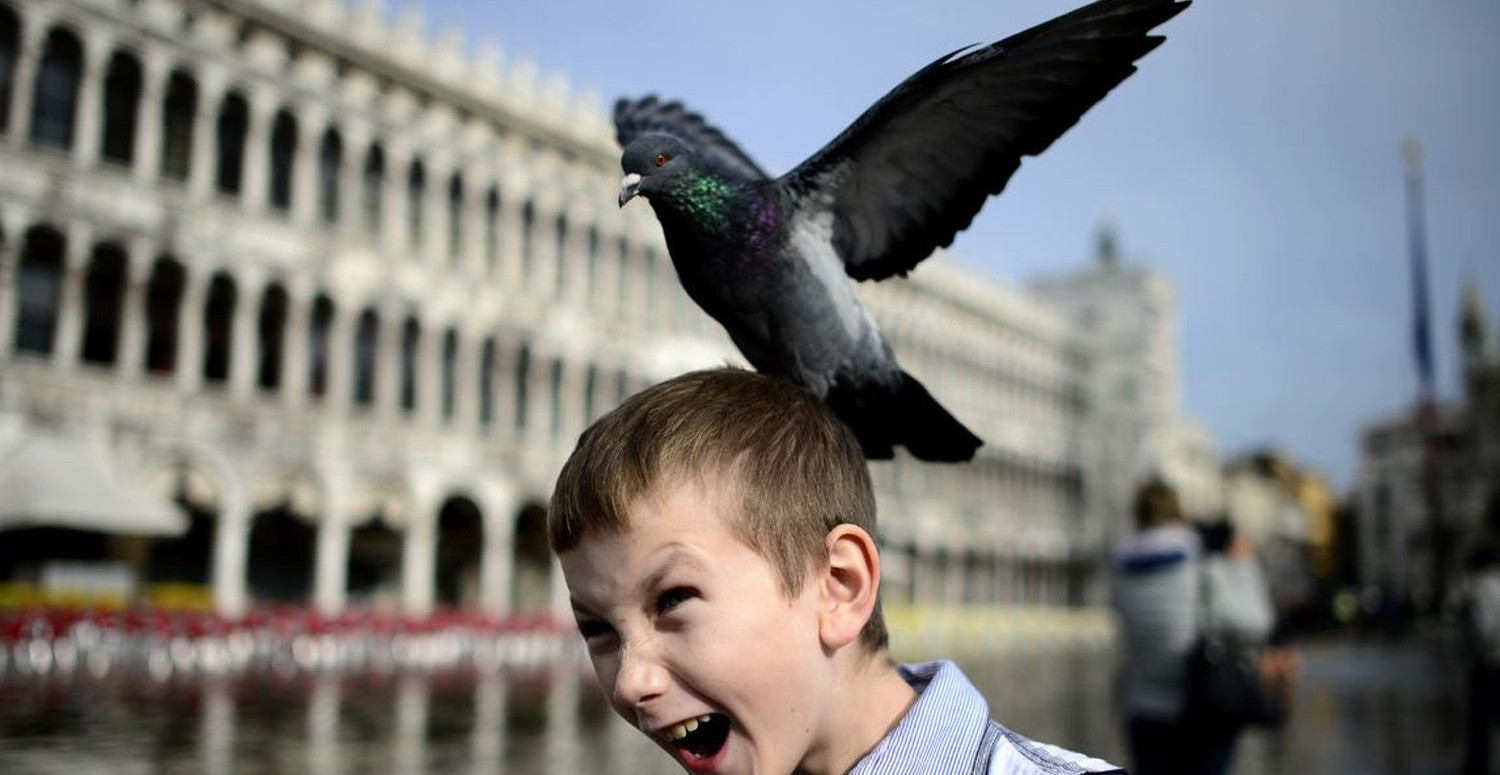 KAFAYA KUŞ PİSLEMESİ