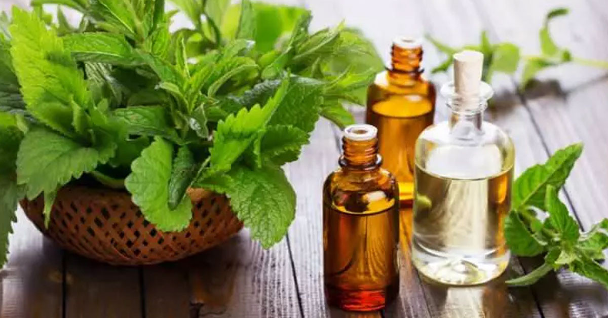 Birçok hastalığa fayda sağlıyor 