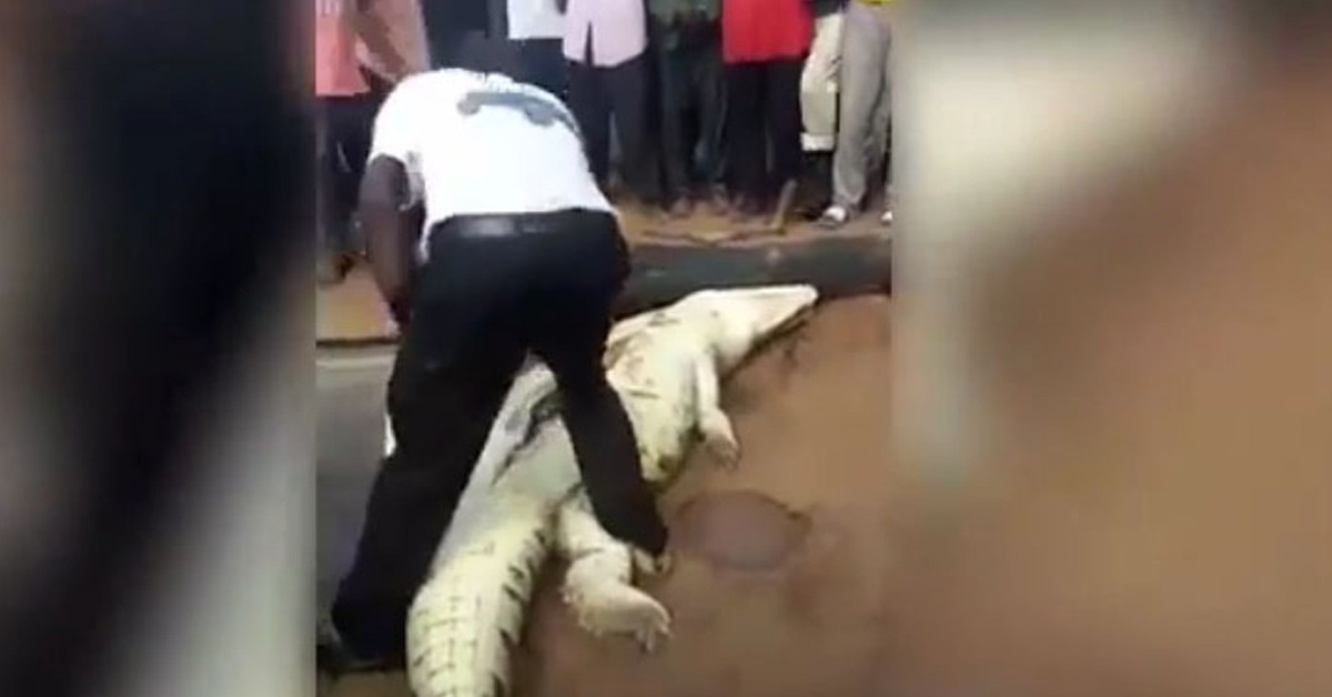 Serinlemek istemişti