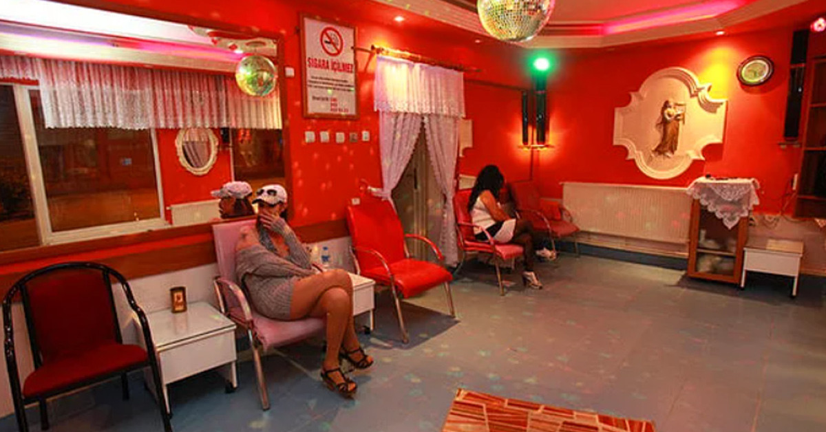 Eğitim profili yüksek