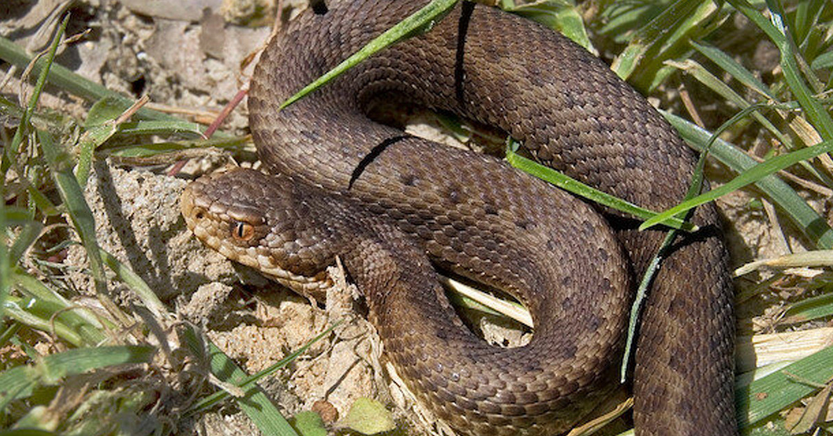 Tedbirler alınıyor