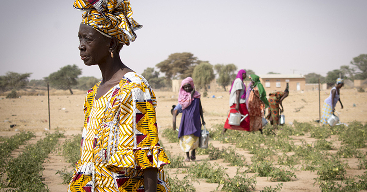 SENEGAL PARA BİRİMİ