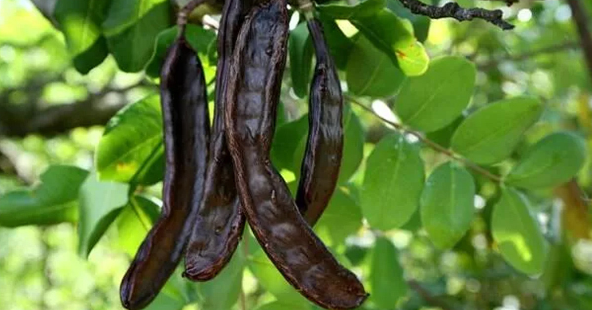 Genel sağlığı korumak