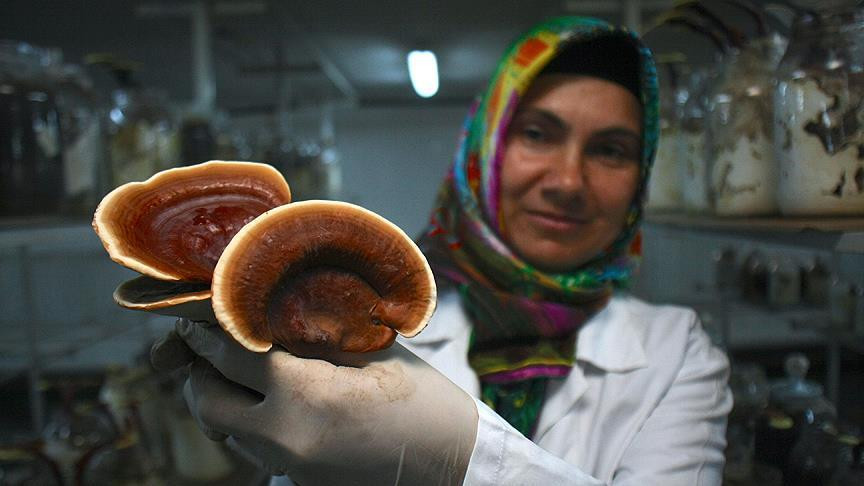 ‘ÜLKEMİZDE DEĞERİ YENİ ANLAŞILDI’