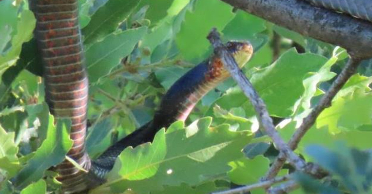 Vatandaş o anları kaydetti