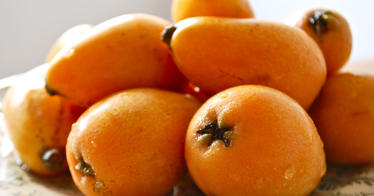 Yeni dünya/ Malta eriği: 6 taneyi aşmayın