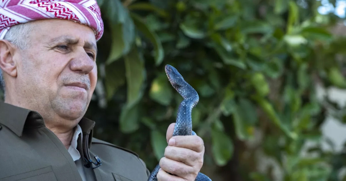 Yılanların türleri