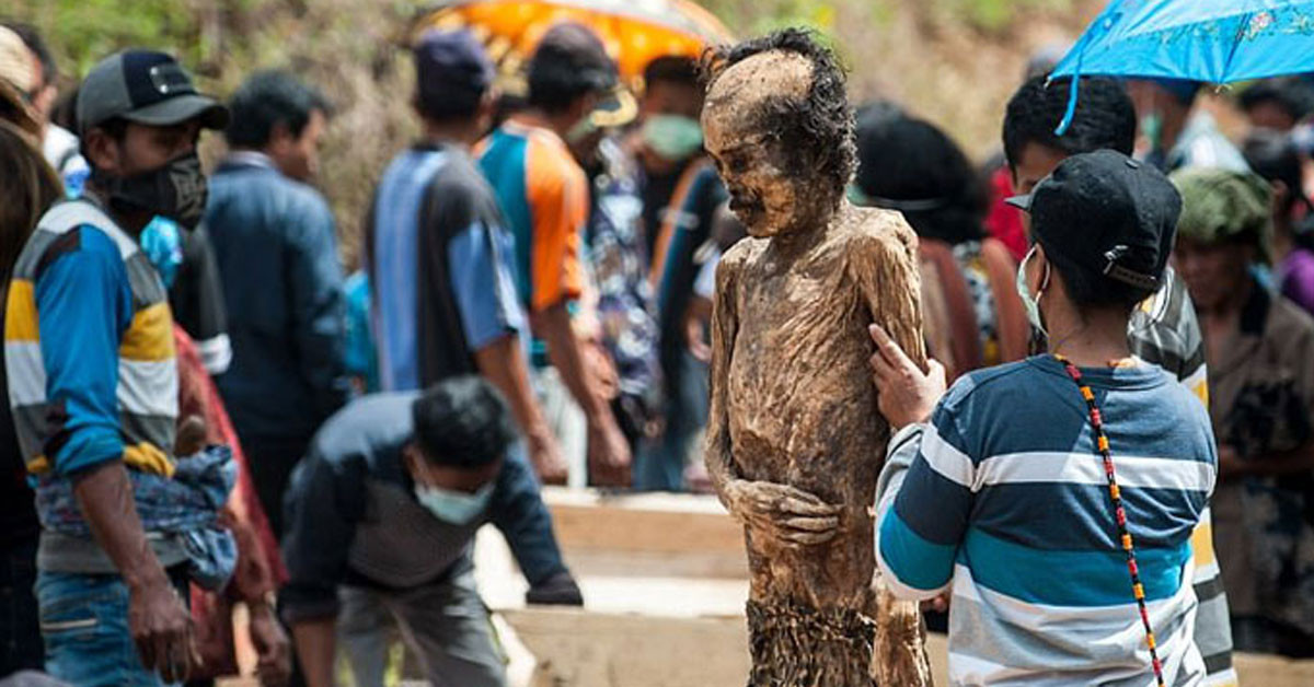 1 gün vakit geçiriyorlar