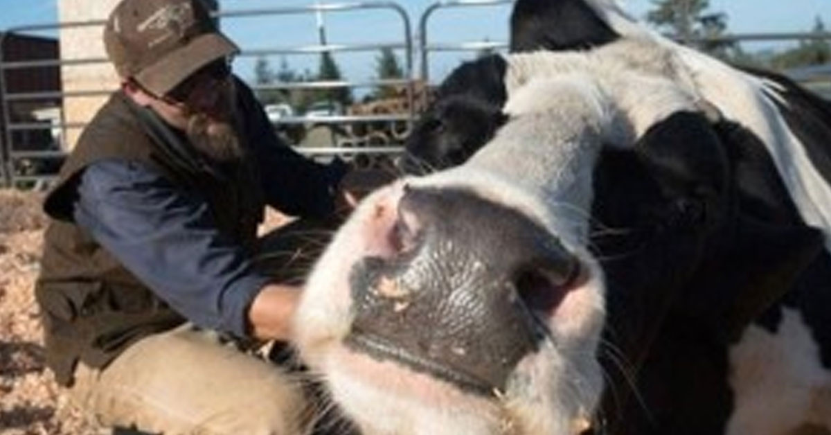 Yanına yaklaşamıyor