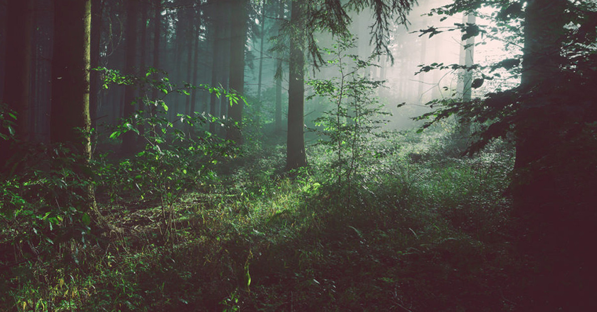 Etkisiz hale getirildi