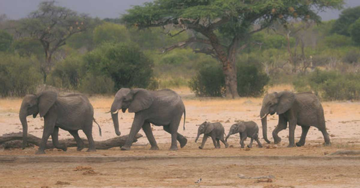 İşte Time'a göre 2022'nin en iyi yerleri...