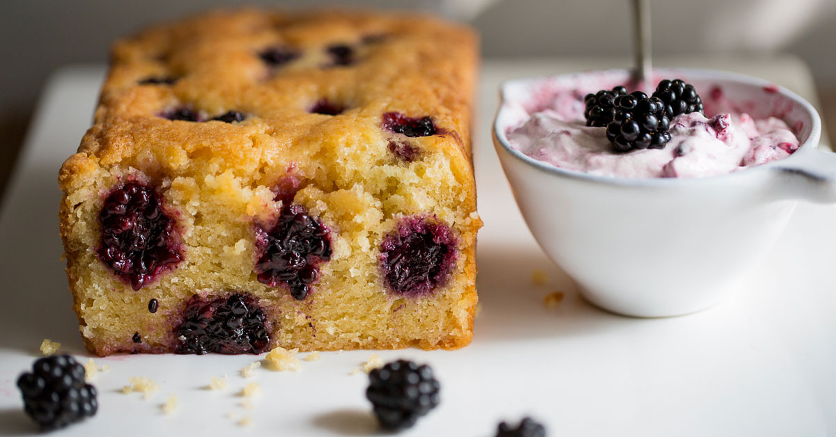 KAKAOLU BÖĞÜRTLENLİ KEK TARİFİ