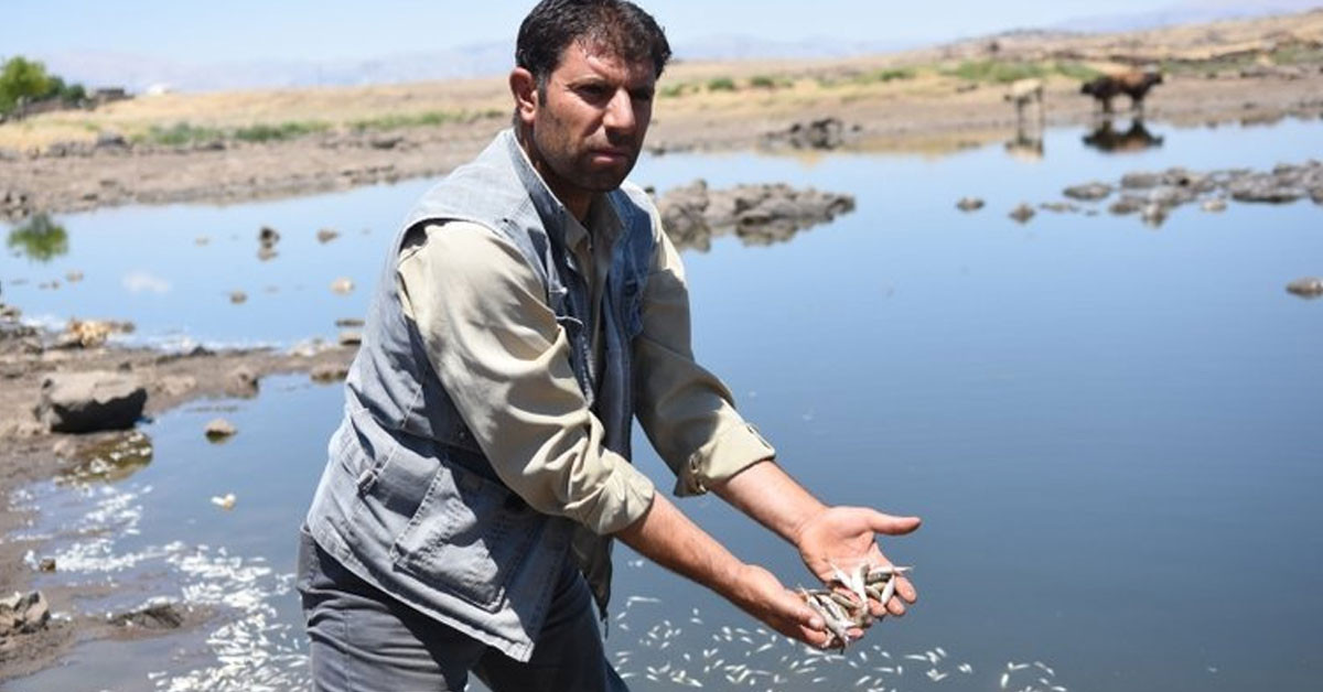 ÖLÜMLER 2 GÜN ÖNCE BAŞLADI