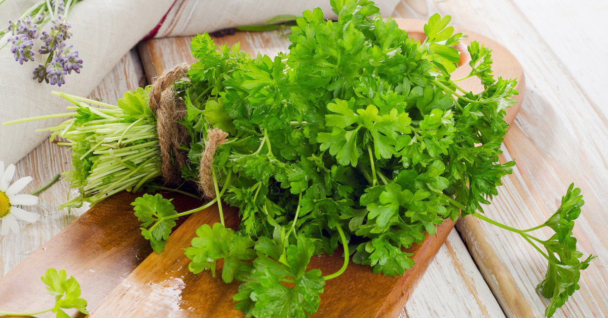 Maydanoz göze iyi gelir mi?