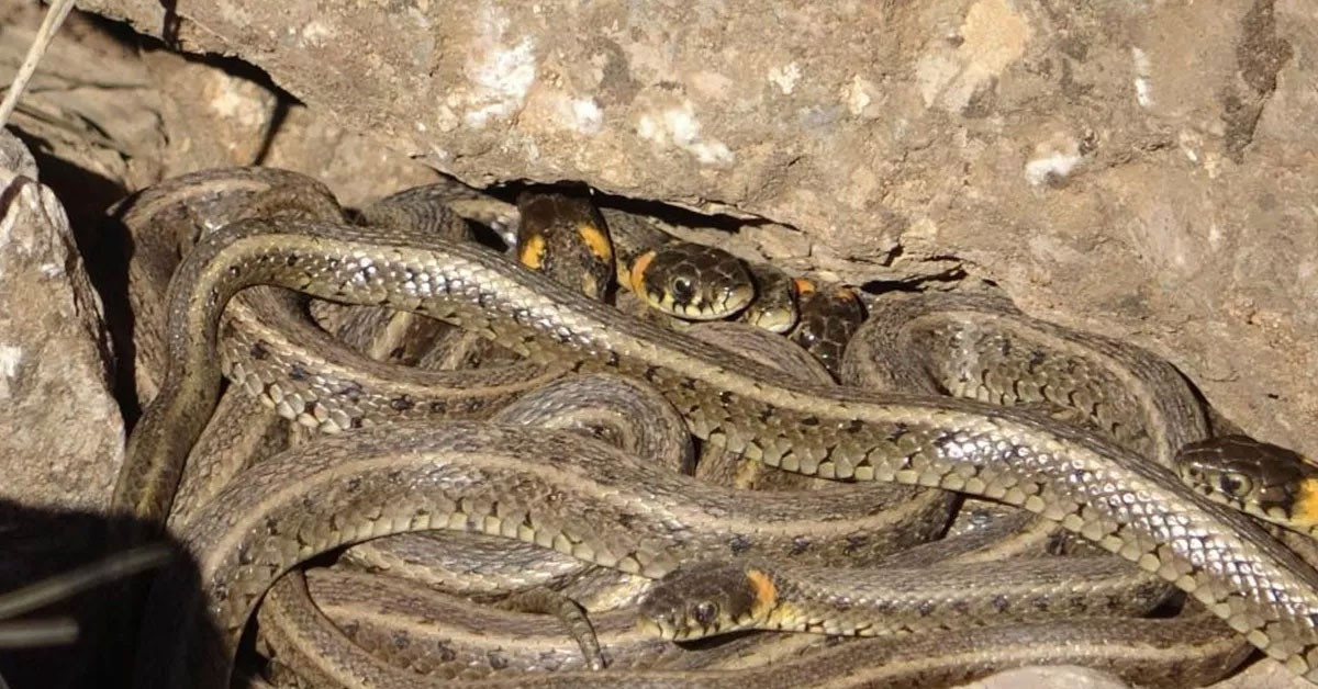 Doğa girişleri kapatıldı