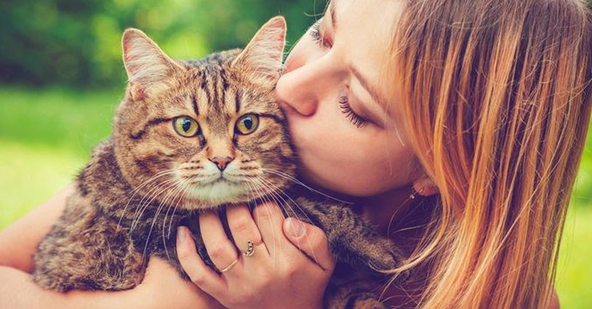 Evcil hayvan sahiplenmek