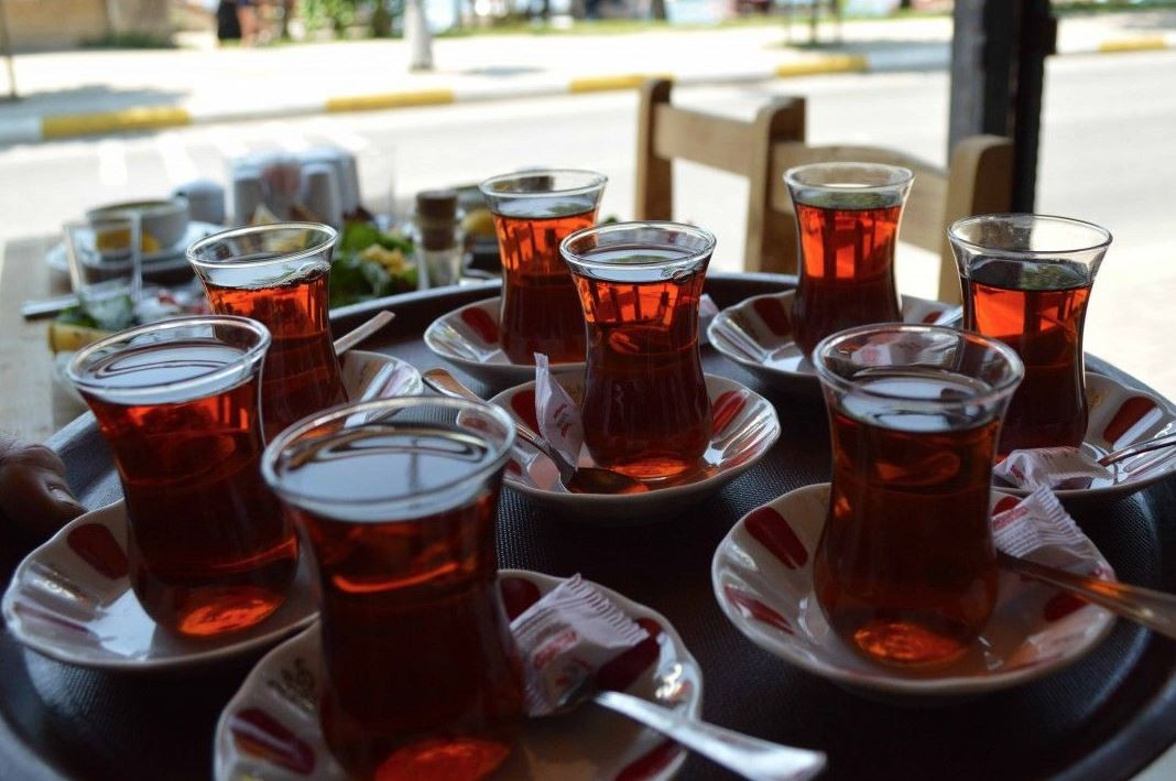 BÖBREKLERİN DOSTU!