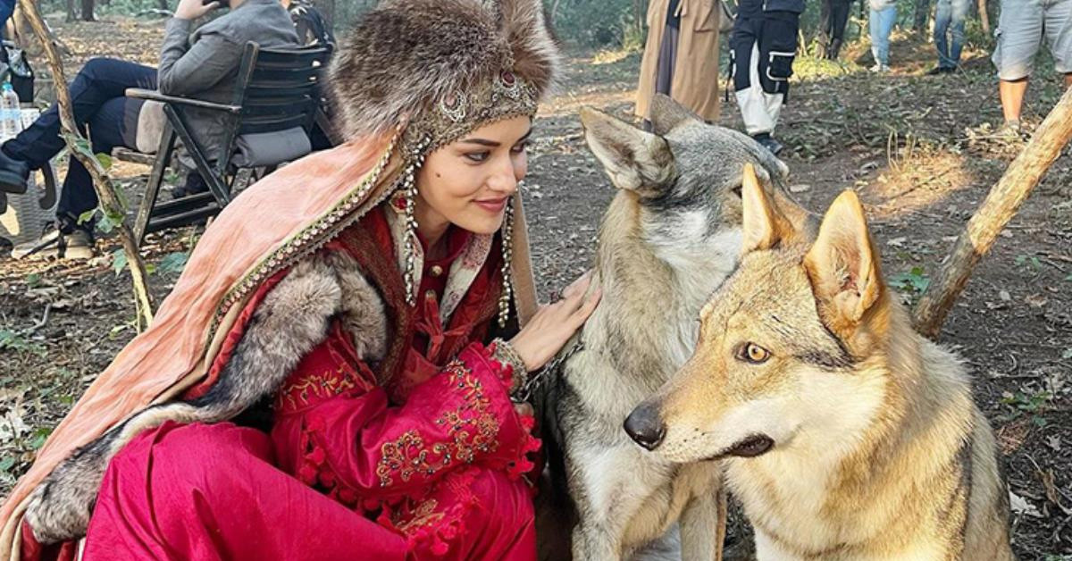 BÜYÜK SELÇUKLU DİZİSİ