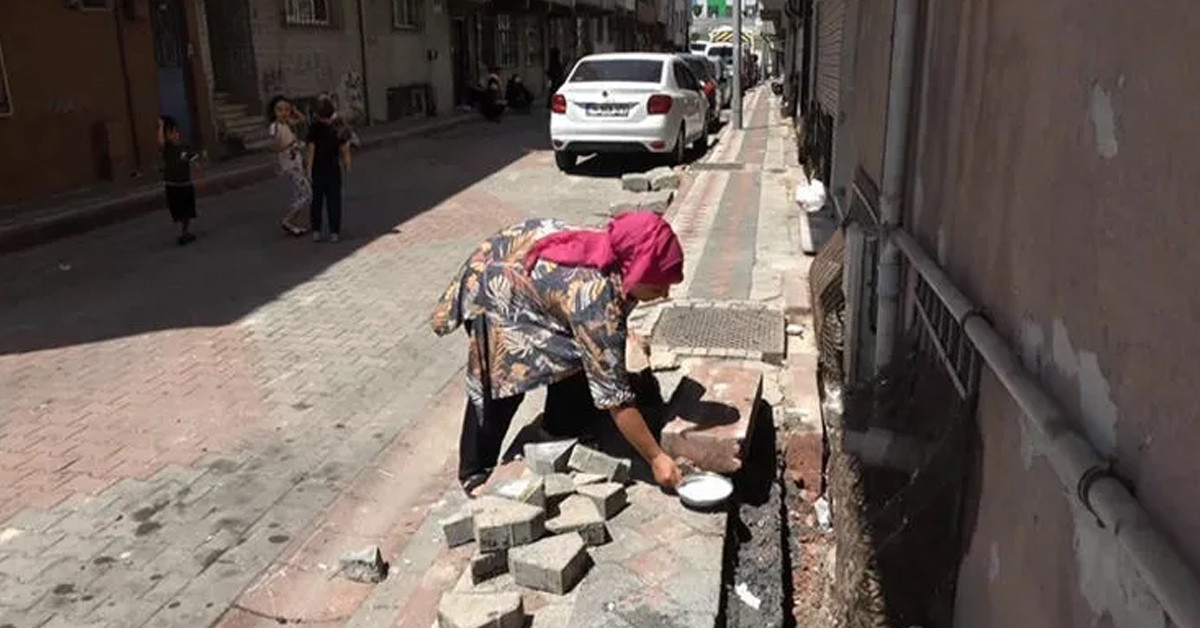 Gündüzleri eve giremiyorlar