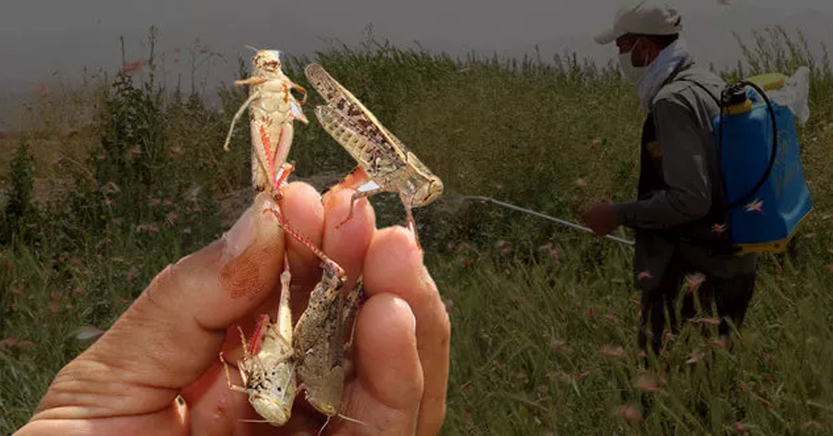 Önlem almaya çalışıyorlar