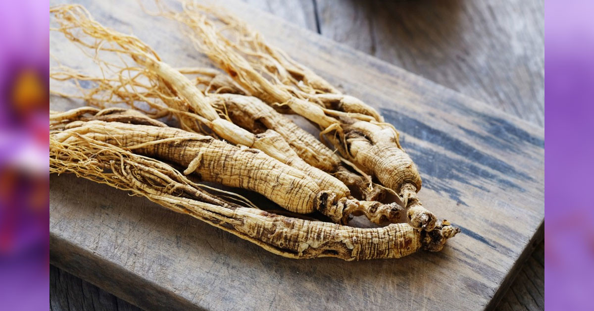 Kırmızı ginsengin