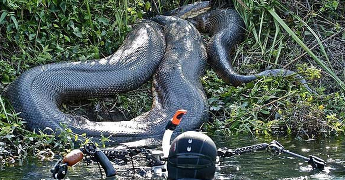 Manisa'da görüldü