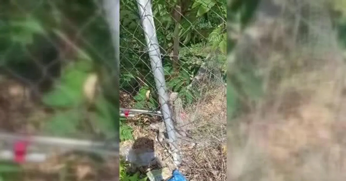 Bahçesine tel örgü çekti