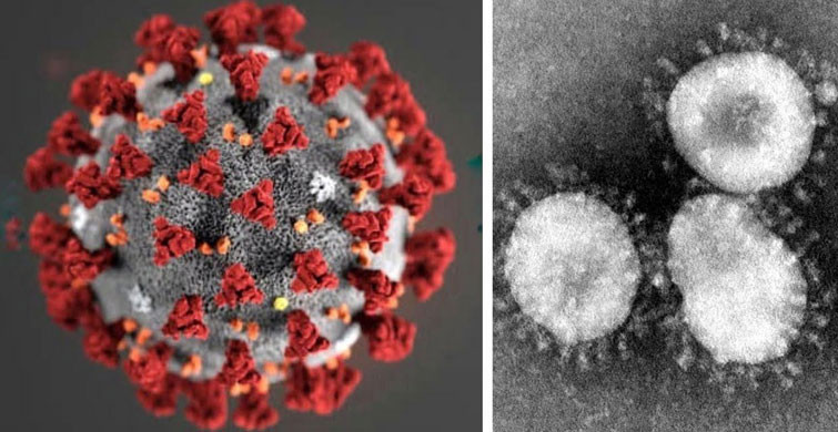 Sinema Salonlarının Açılmasının 1 Ay Ertelenmesi Kararlaştırıldı