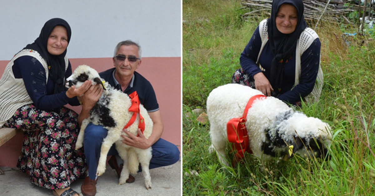 Nereye giderse yanında götürüyor 