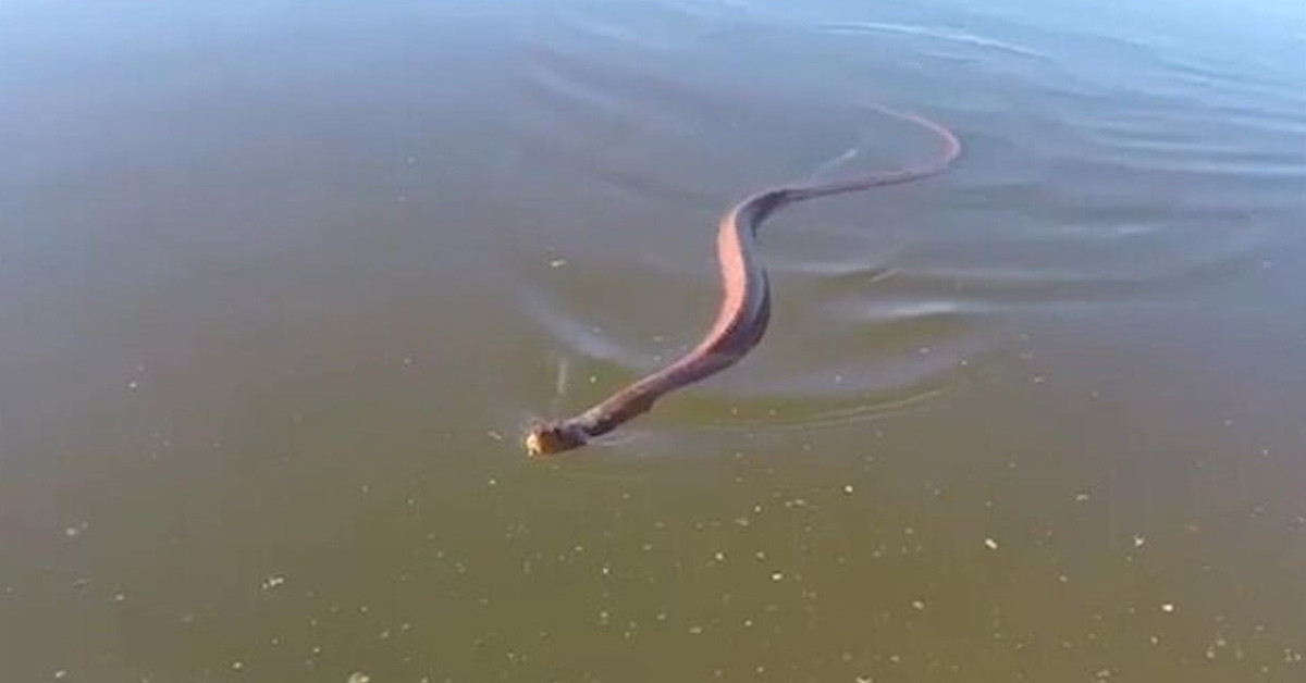 Tatil için gittiler