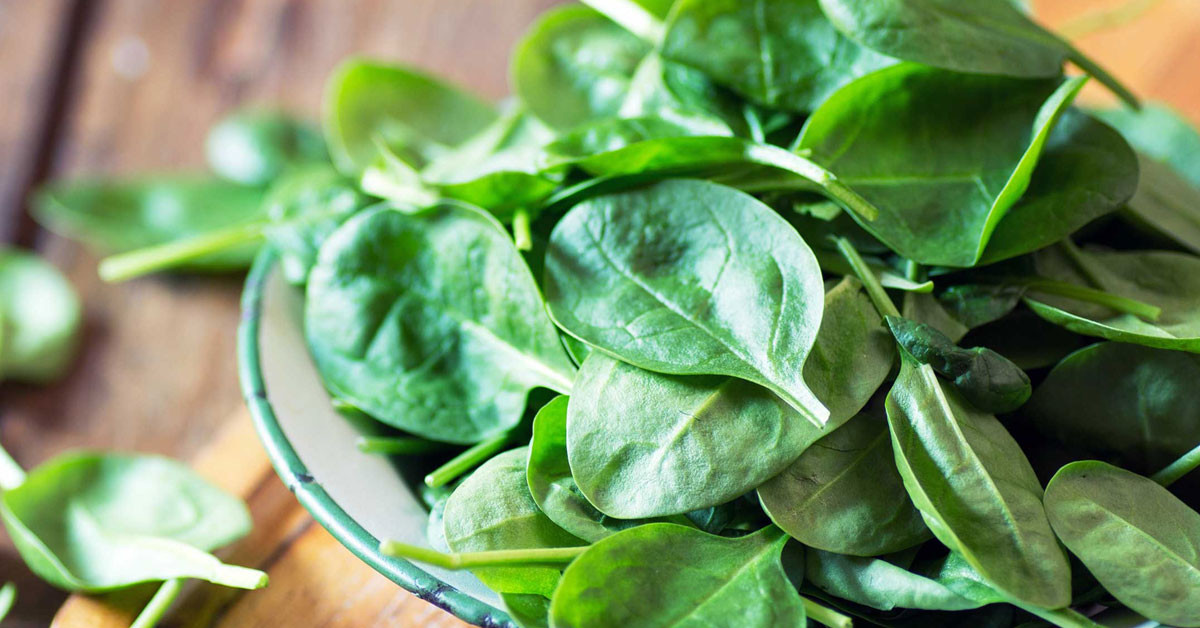 Göz tansiyonunu dengeliyor!