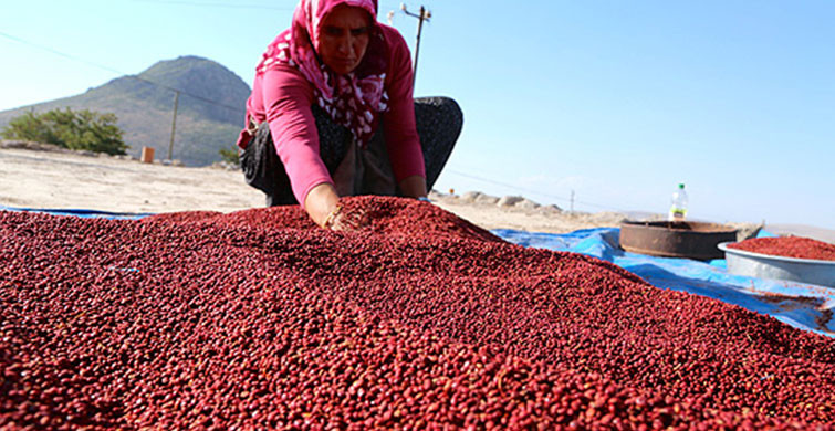  Kadın Sağlığı İçin Önemli: 