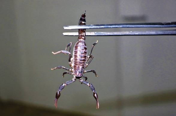 BİR DAMLASINDA 150 PROTEİN VAR