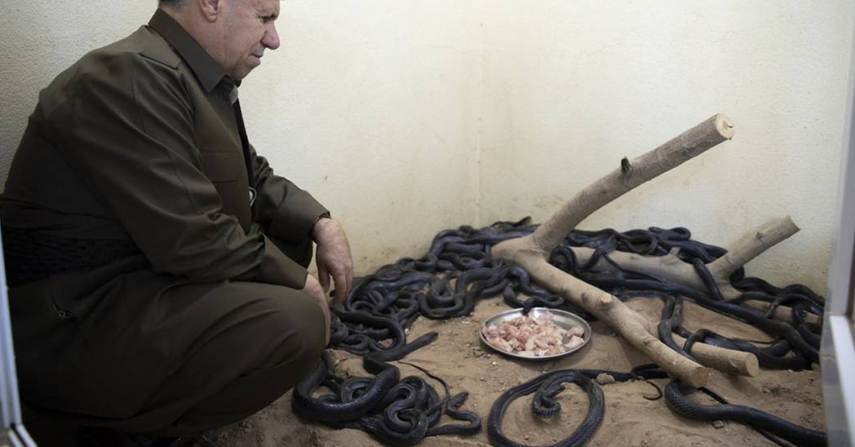 'Zehir protein gibidir'