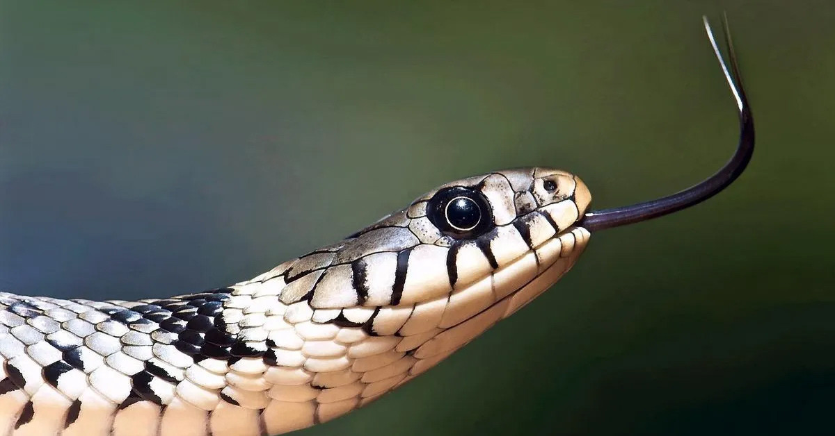 Ekipler müdahale etti