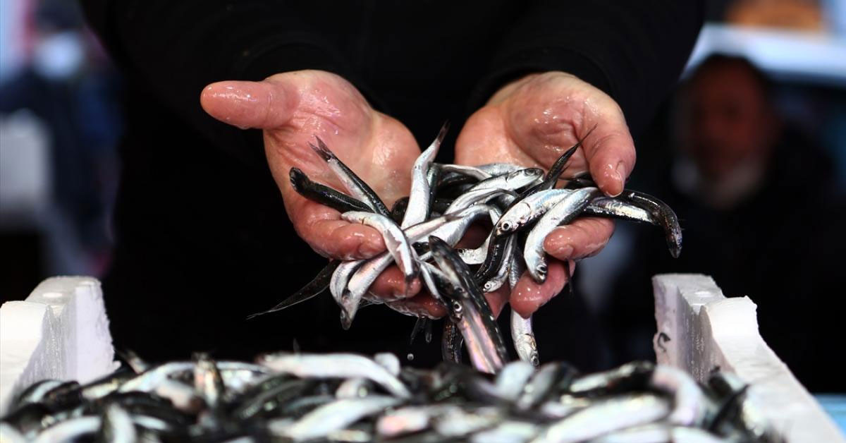 HER HAFTA 600 KİLO ÜRÜN GÖNDERİYORUZ