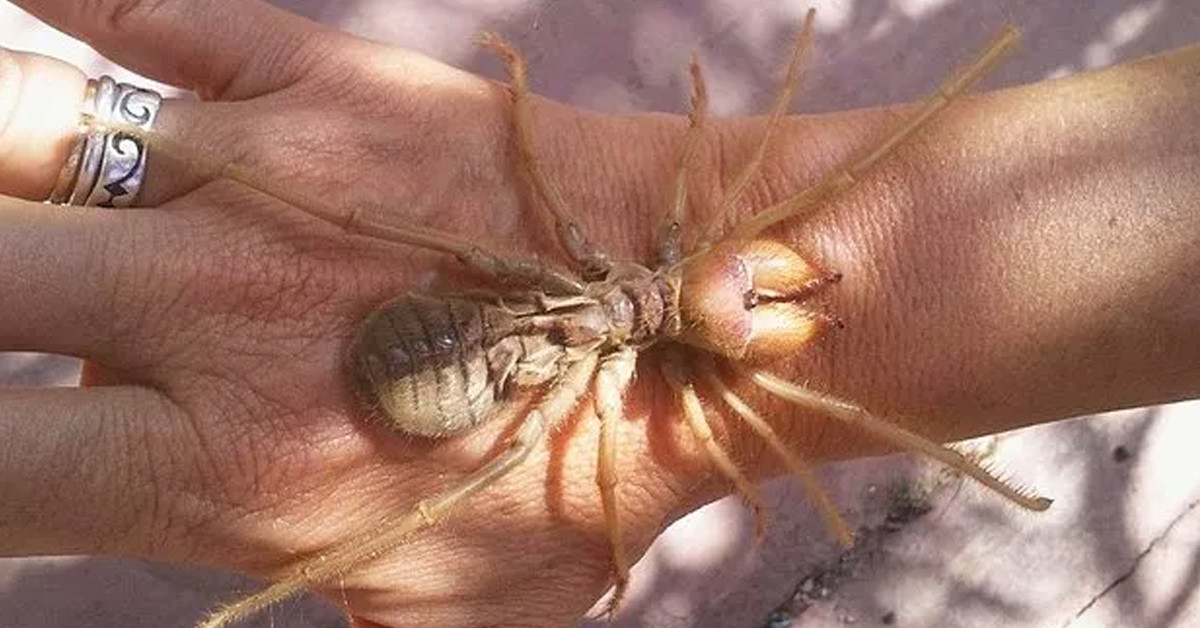 Gördüğünüz yerden uzaklaşın