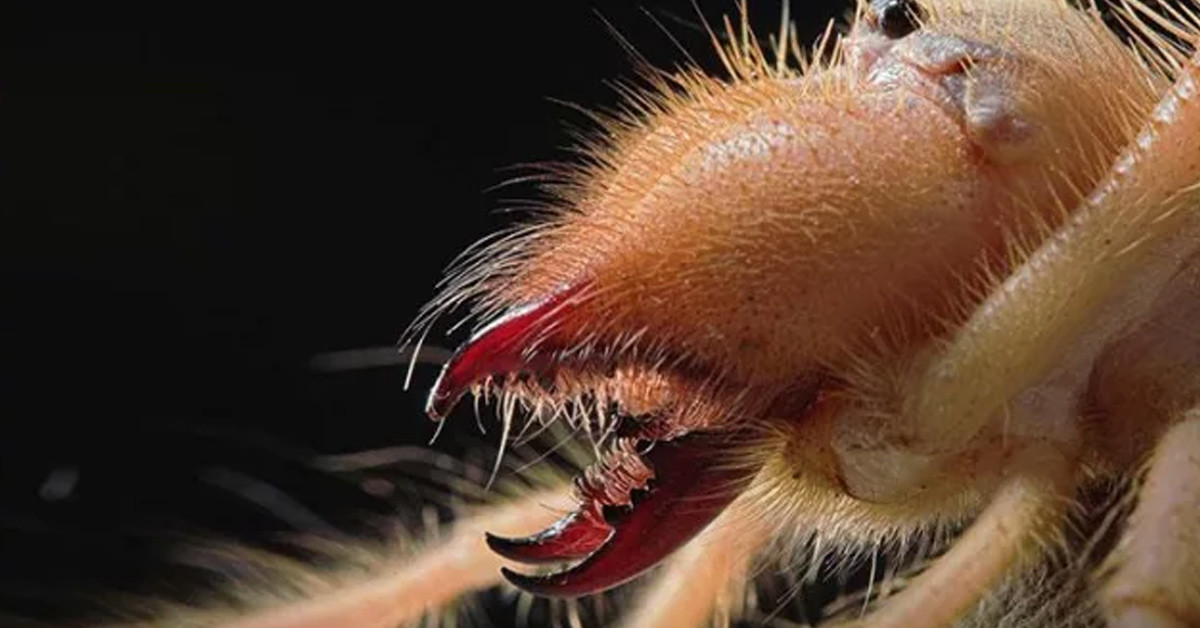 Hızlı hareket ediyor