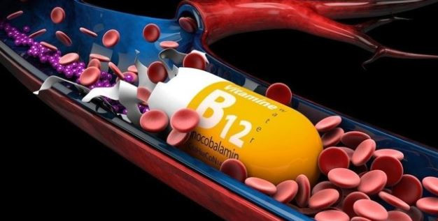 SÜT VE SÜT ÜRÜNLERİ