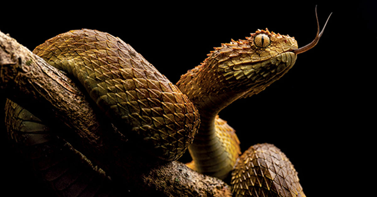 Çevredekiler anlattı