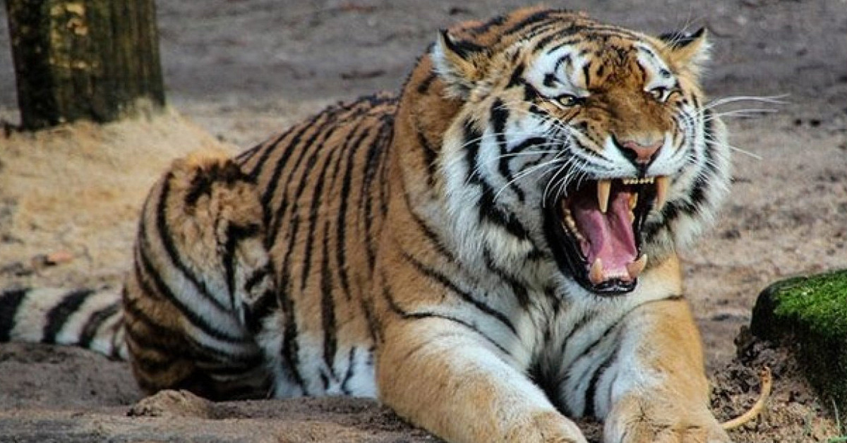 İhmalkar olmakla suçlandı