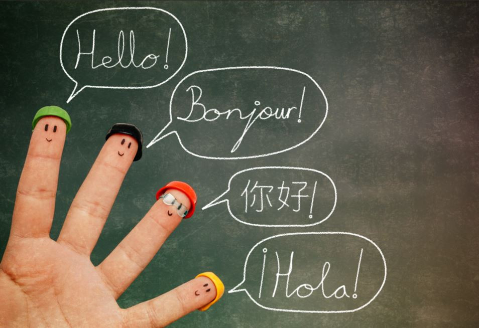 YENİ BİR DİL ÖĞRENİN