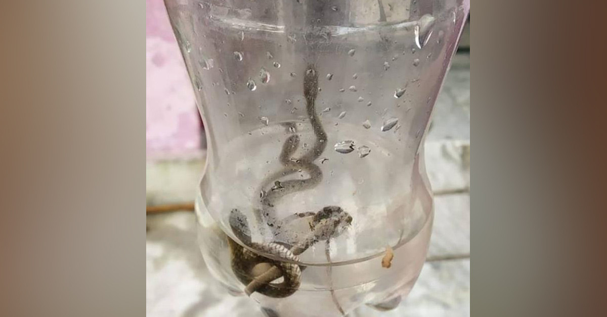 Hayatının şokunu yaşadı