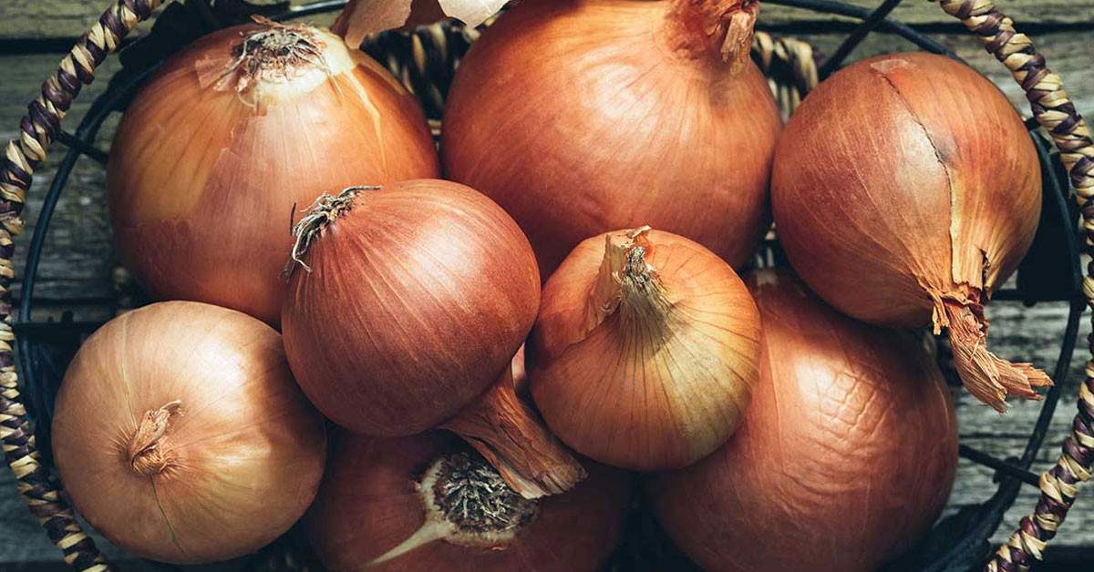 Güçlü hafıza için lif alımı önemli